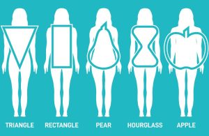 Female body-shapes types